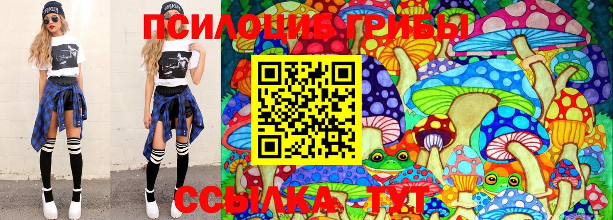 Саров  Галлюциногенные грибы Cubensis  Вход с VPN 